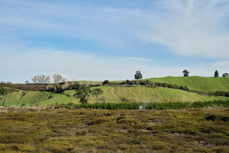 Insurance2025 Life on A Comprehensive Outlook :The Future of Protection