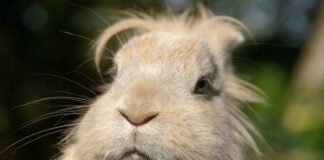 If You Eat Meat You Need To Know These 5 Facts